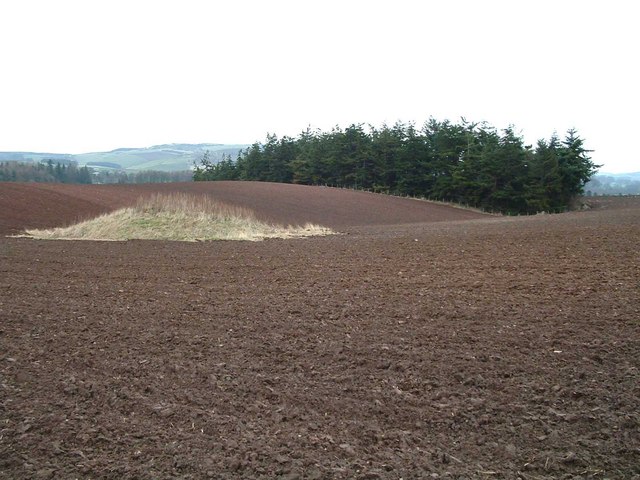 Cairn and Woodland