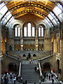 Natural History Museum