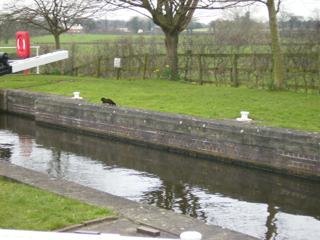 Lockside on the Ripon Canal