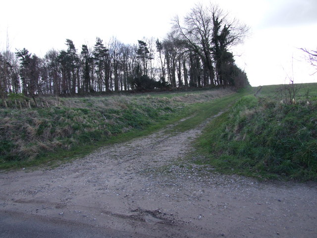 Farm Track along Edge of Woodland, Tasburgh