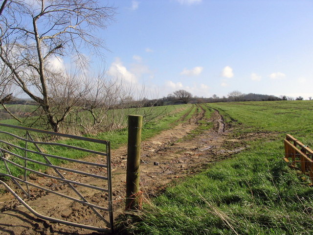 Fields and hillside near Pymore