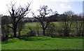 Pond near Washingpool Farm