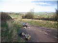 Fly tipping on Rock Road
