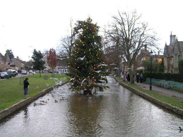 Christmas tree at Bourton on the Water © DAVID CADD cc-by-sa/2