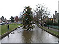 Christmas tree at Bourton on the Water