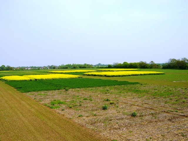 Crop Trials in 'Nelson' field