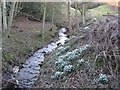 Upstream of Oldhamstocks Mains