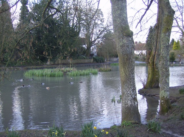 Buriton Pond