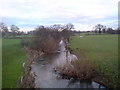 Bedale Beck looking East