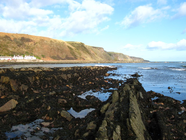 Low tide at Burnmouth Bay