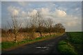 Footpath to Wickham Green