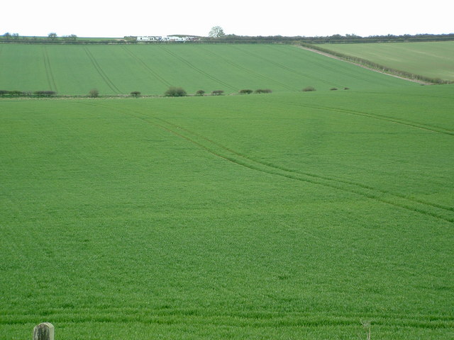 Crop marks