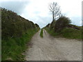 Farm track above Langtoft