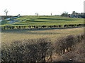 Pre enclosure fields at Garton on the Wolds