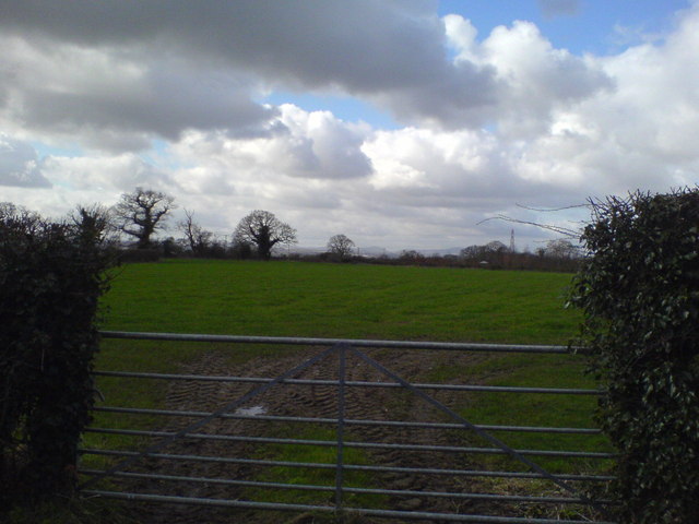Farmland at Saughall, Chester.