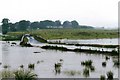 Flood at Bridge over Dippool Water