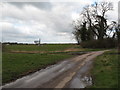 SE3777 : Road Junction near Catton by Gordon Hatton