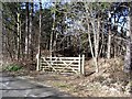 Gate to pinewoods, Formby