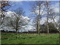 Early spring ; Stanton Fitzwarren