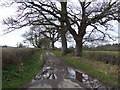 Track to Padwicks Farm