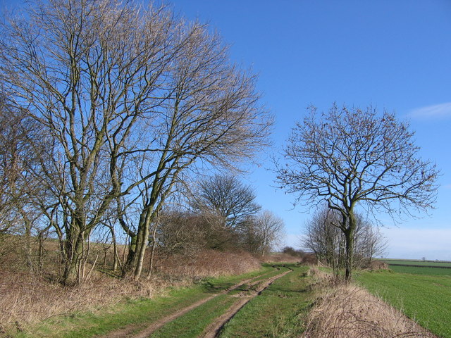 Green Lane, North Field