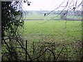 Across the fields to Hawkley