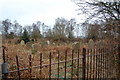 Graveyard of Providence Baptist Chapel, Aldringham