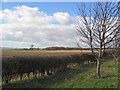 SE9660 : Wolds Farmland by Stephen Horncastle