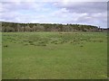 Mullies Townland