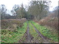 Hidden Bridge Over Dismantled Railway