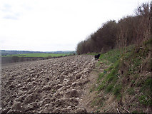 SU0626 : Field edge, Netton Farm, Bishopstone by Maigheach-gheal
