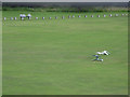 Abandoned chairs on Yeadon Cricket Ground