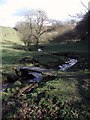 High Birks Beck, Upper Headley