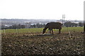 View across fields towards Burton Latimer