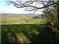 Bolehill Lane - View across fields to Bolehill Farm