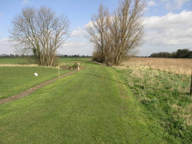 Green Grass Track