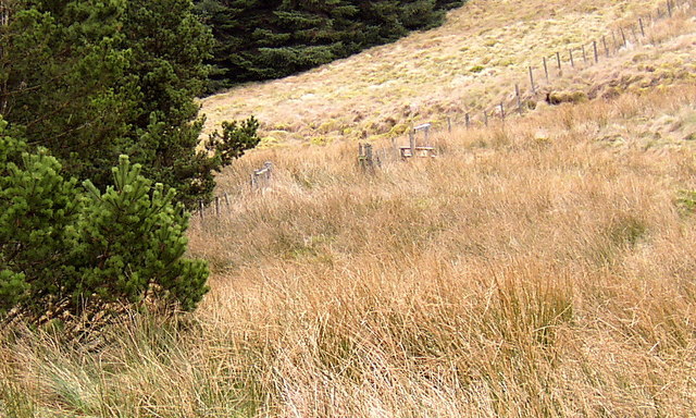 Stile on footpath from Kidland Forest onto Yarnspath Law