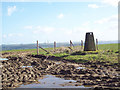 Trig point near Newtown