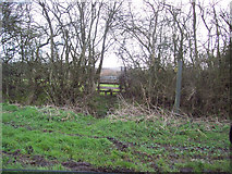 ST8428 : Footpath to Withies Farm from Pitts Lane by Maigheach-gheal