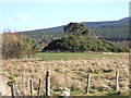 Another view of the Motte