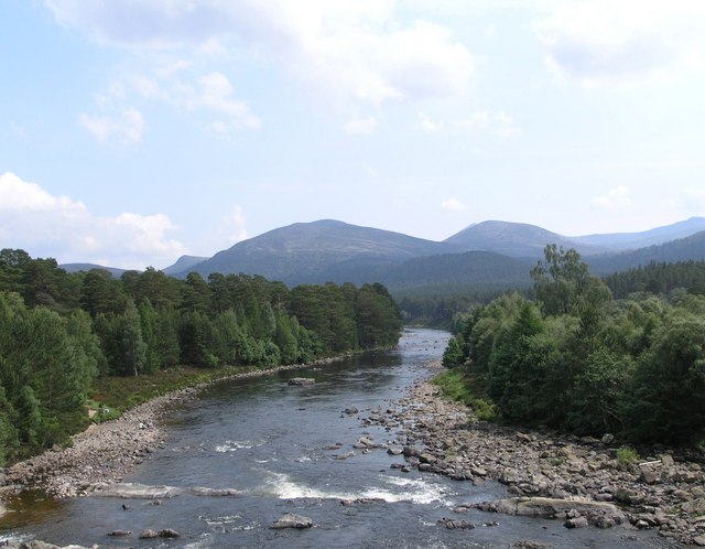 River Dee & the Ballochbuie Forest