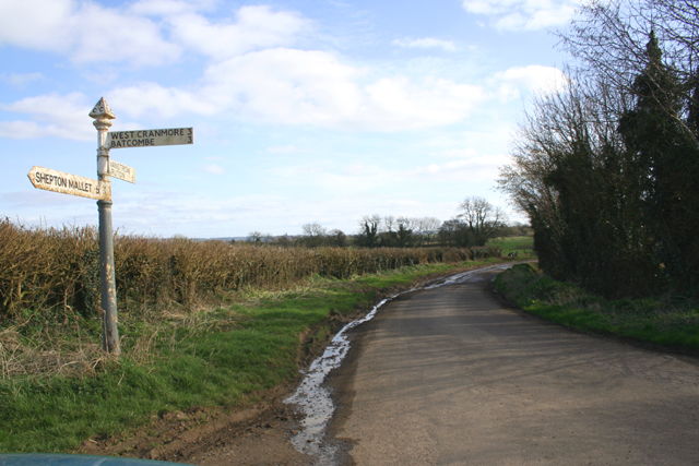 Lane near Mitchell's Elm Farm, East Cranmore