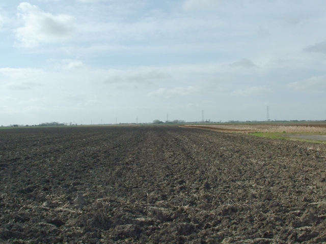 Fields near Fen Lane, Gorefield.
