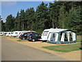 TF6826 : The Caravan Club Site, The Sandringham estate. by Peter Wasp