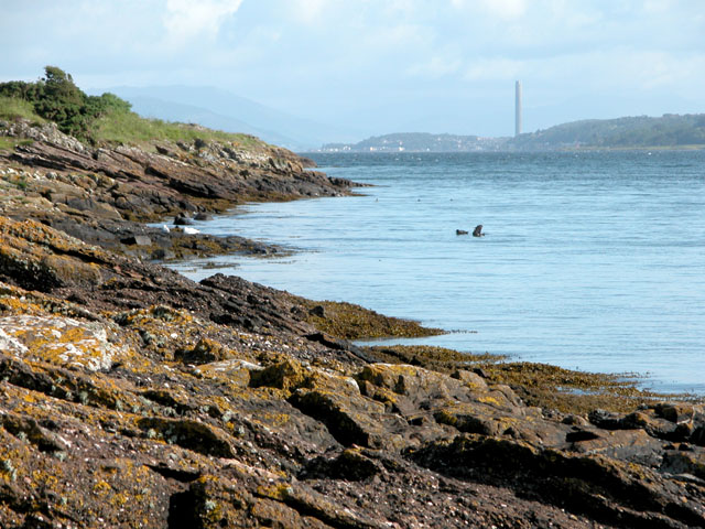 Looking North from Cumbrae Slip
