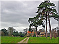 Scampston Deer Park