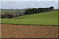 Towards Penhawger Farm