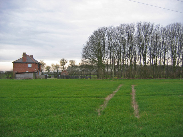 Angus Farm, Tibthorpe Wold