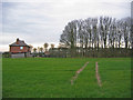 Angus Farm, Tibthorpe Wold