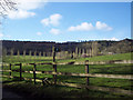 Footpath to Pheasant